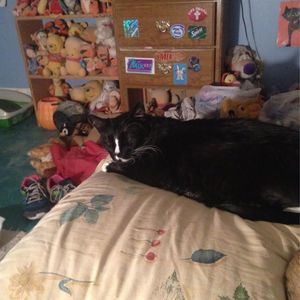 Meet your Posher, Heather